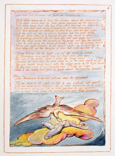 Visions of the Daughters of Albion: 